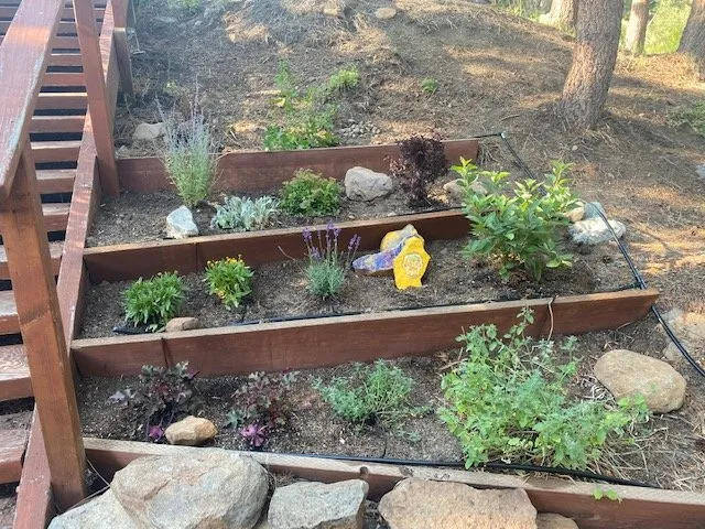 Custom residential landscaping with custom design across Truckee, CA - Rock & Rose