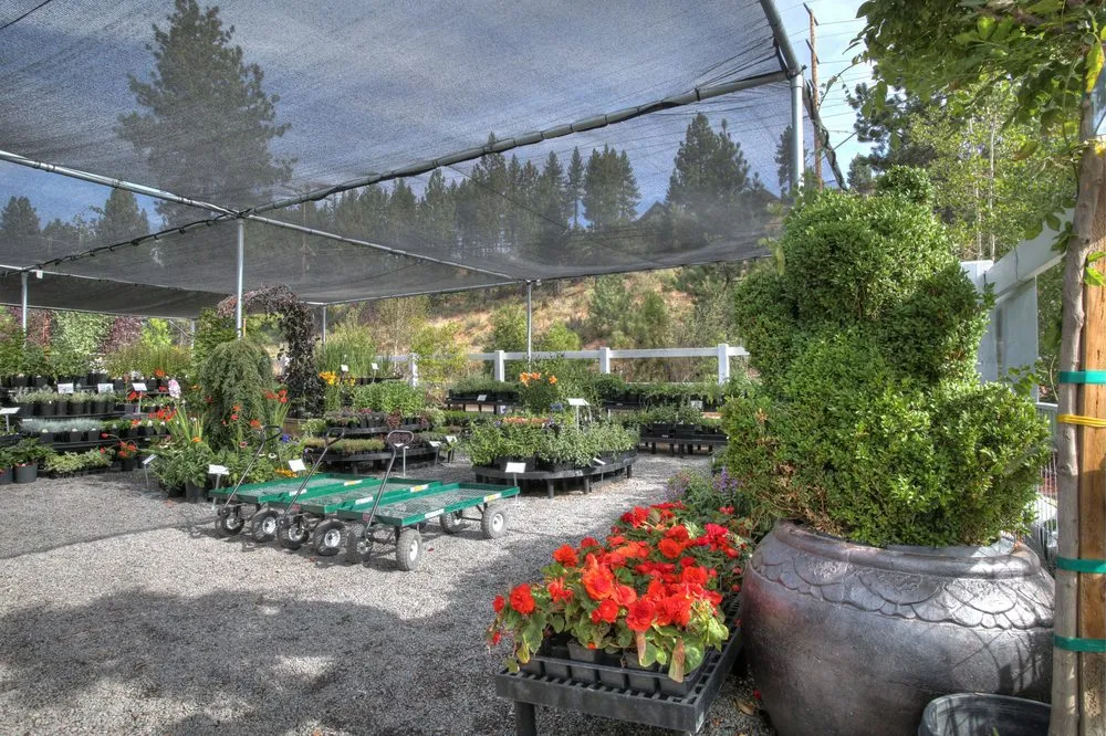 Reliable landscape installation experts serving Truckee, CA - Rock & Rose