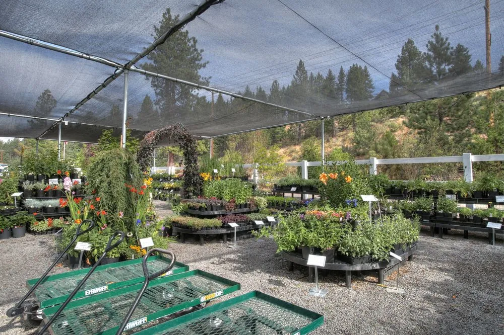 Reliable landscape design in Truckee, CA by Rock & Rose