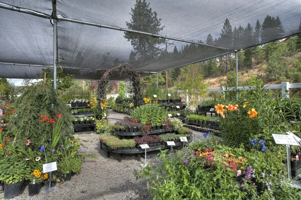Custom residential landscaping with custom design across Truckee, CA - Rock & Rose