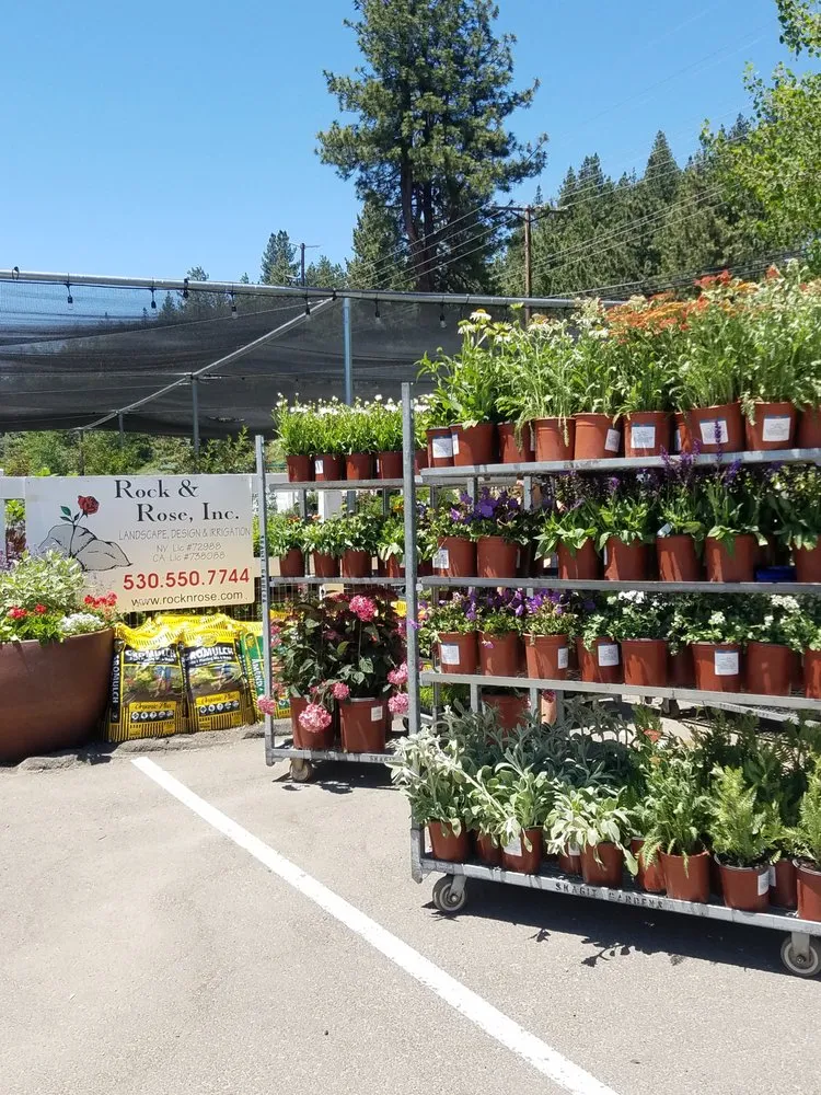 Trusted yard maintenance experts serving Truckee, CA - Rock & Rose