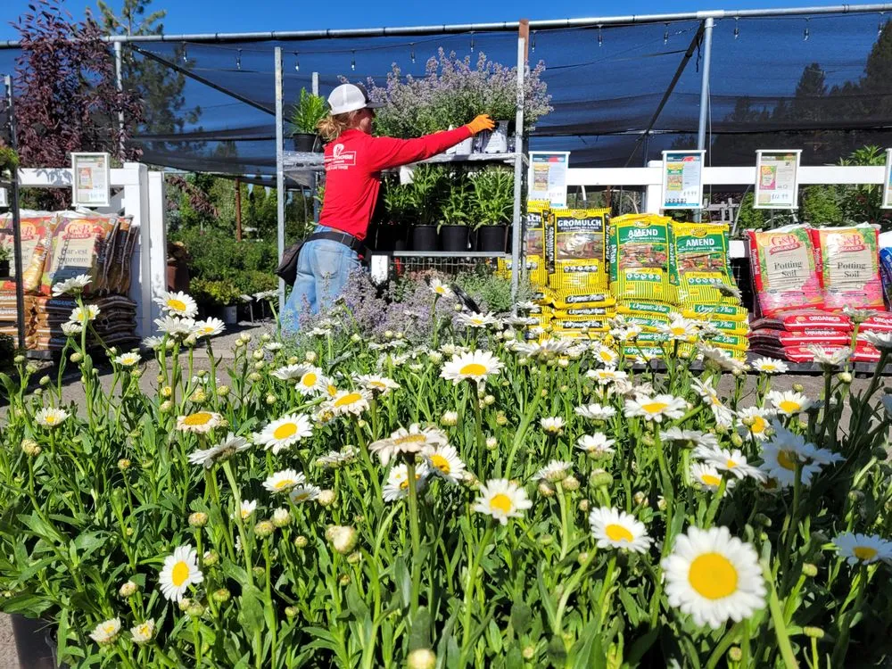 Affordable landscape installation experts serving Truckee, CA - Rock & Rose