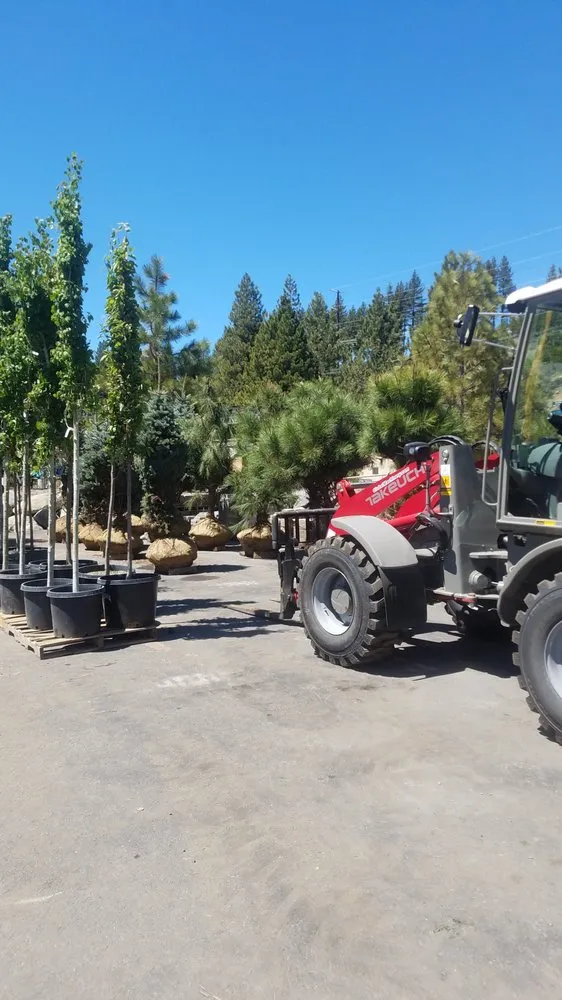 Custom outdoor landscaping in Truckee, CA by Rock & Rose