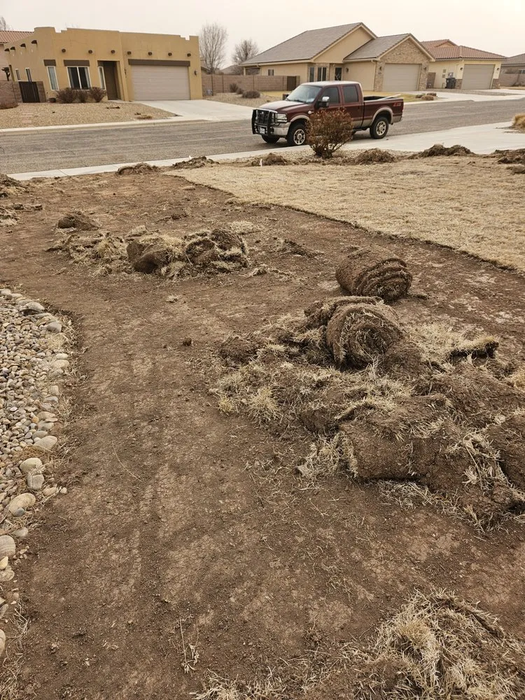 Local landscape design for homes in Amarillo, TX by Rock & Sons Irrigation