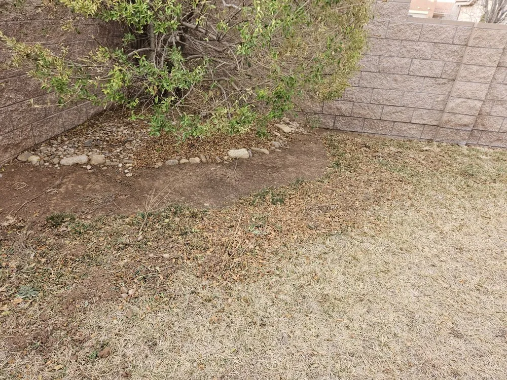 Local lawn care service with custom design across Amarillo, TX - Rock & Sons Irrigation