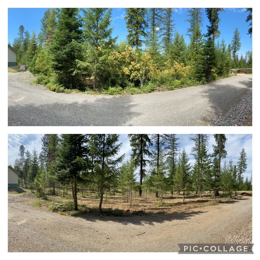 Reliable yard cleanup service in Cocolalla, ID by Rock and Petal Landscape Design & Build