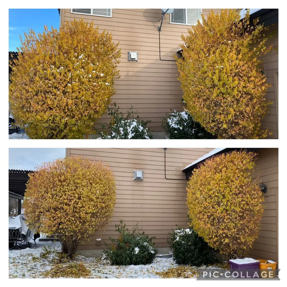 Reliable outdoor landscaping with custom design in Cocolalla, ID by Rock and Petal Landscape Design & Build