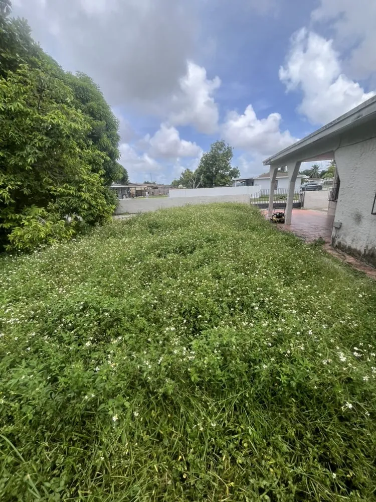 Custom landscape design in Homestead, FL - Rock and Root Landscaping and Excavations