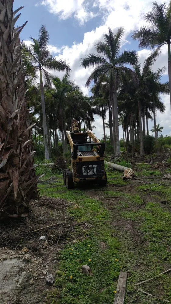 Trusted landscape installation in Homestead, FL by Rock and Root Landscaping and Excavations