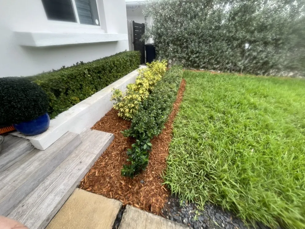 Trusted lawn mowing service for outdoor upgrades in Homestead, FL by Rock and Root Landscaping and Excavations