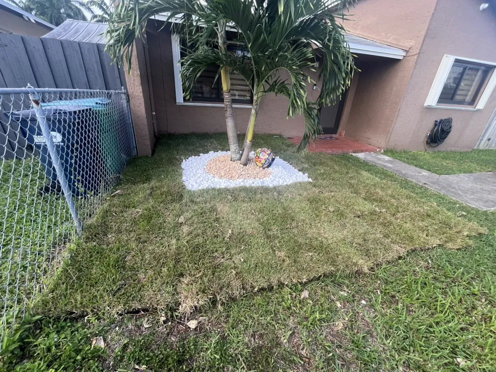 Expert yard maintenance in Homestead, FL - Rock and Root Landscaping and Excavations