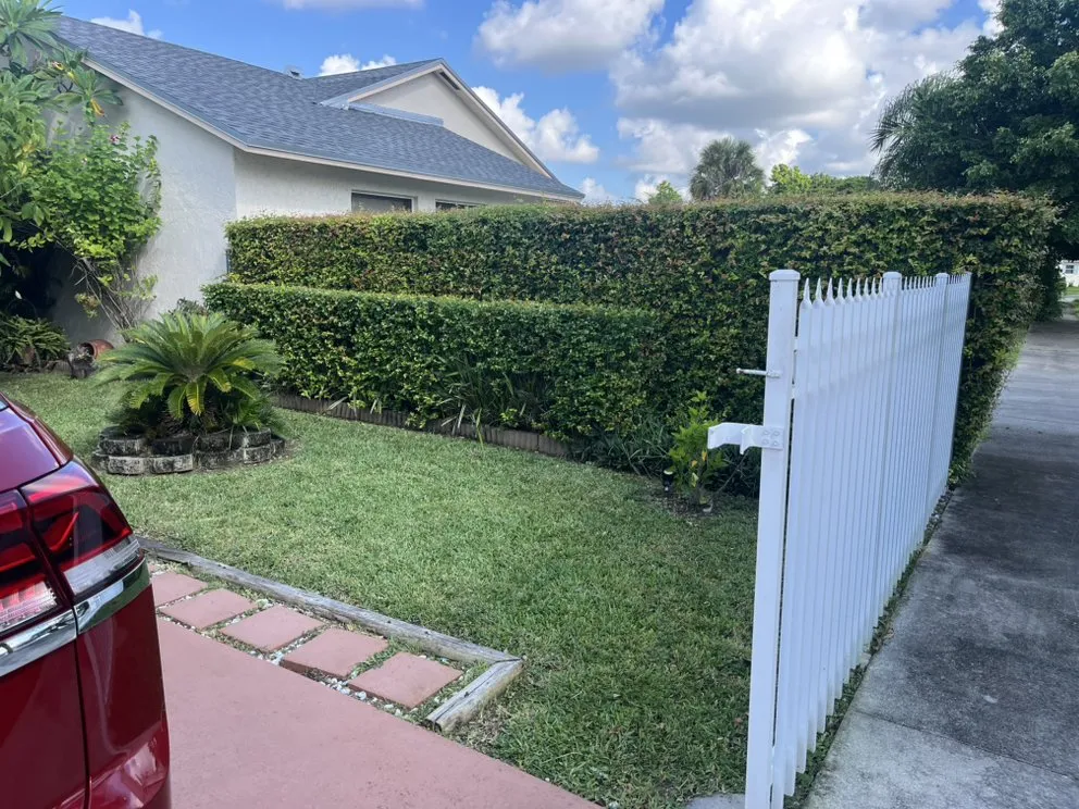 Affordable yard cleanup service for year-round maintenance across Homestead, FL - Rock and Root Landscaping and Excavations