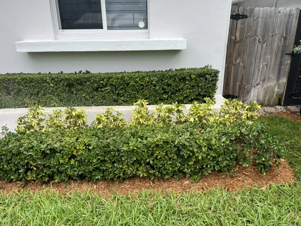 Reliable landscaping services experts serving Homestead, FL - Rock and Root Landscaping and Excavations