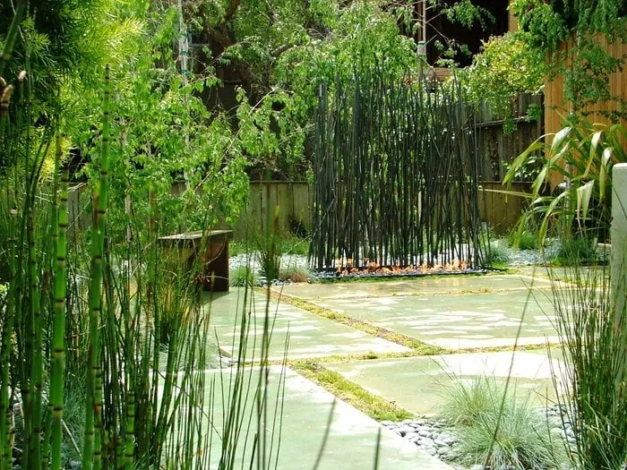 Custom yard maintenance for homes across San Francisco, CA - Rock and Rose Landscapes