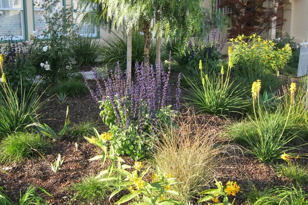 Reliable outdoor landscaping in San Francisco, CA by Rock and Rose Landscapes