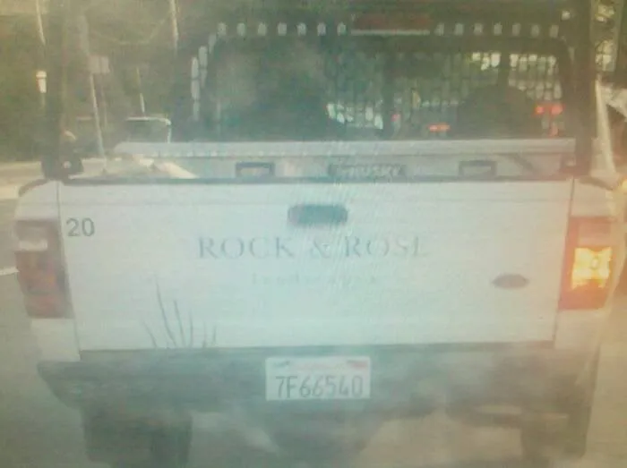 Expert yard cleanup service for year-round maintenance in San Francisco, CA by Rock and Rose Landscapes