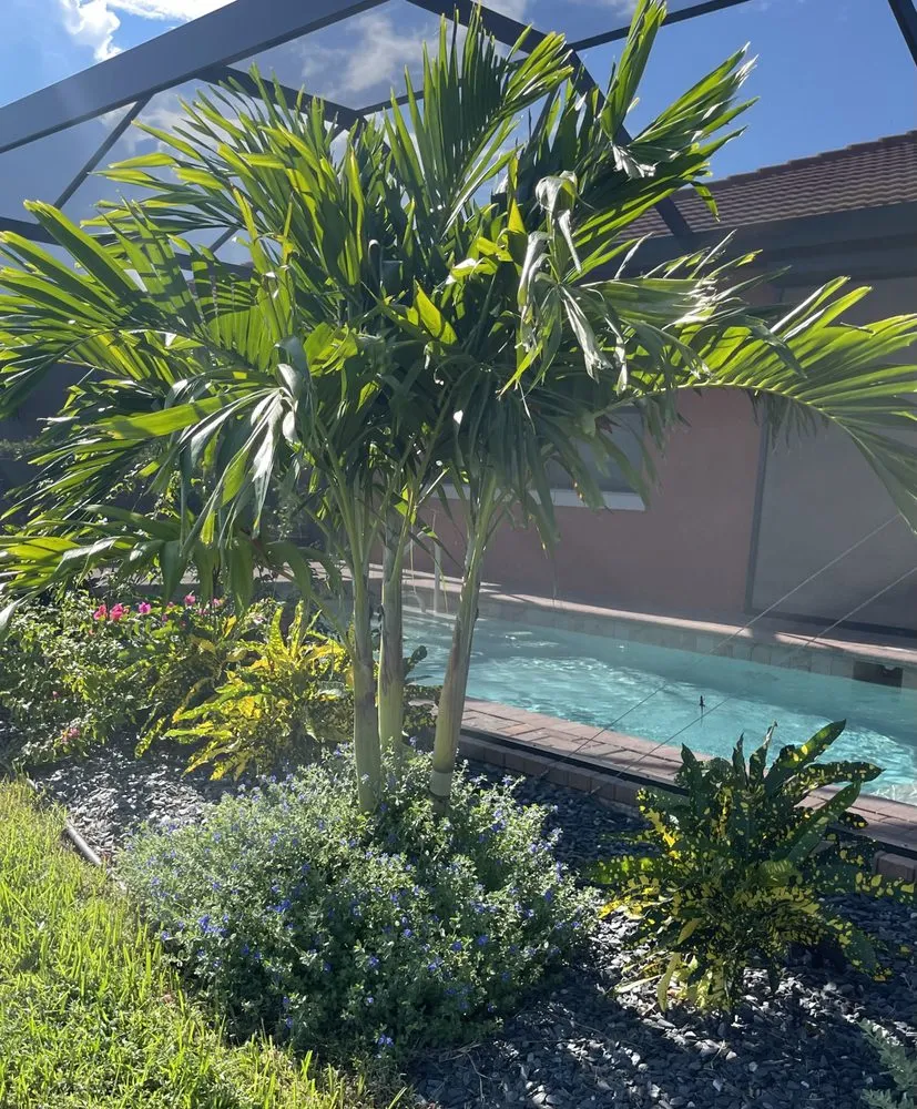 Local outdoor landscaping in North port, FL - Rock Bottom Landscape