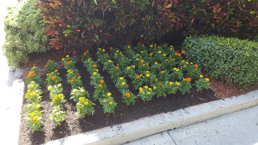 Professional outdoor landscaping in North port, FL - Rock Bottom Landscape