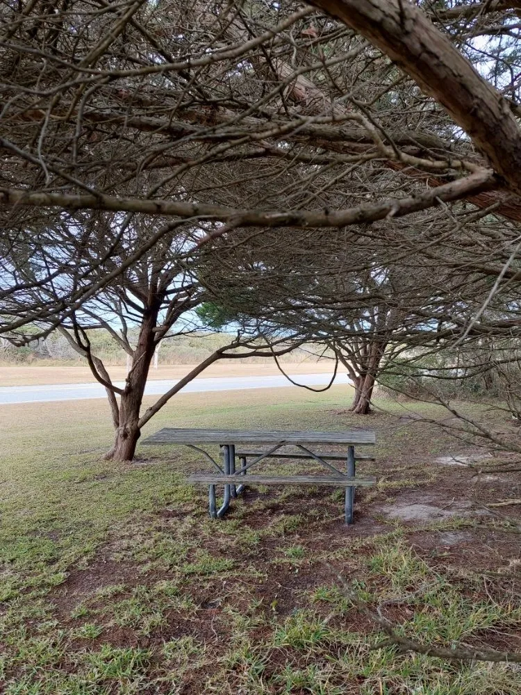 Custom outdoor landscaping in Wingate, NC - Rock Castle Landscaping