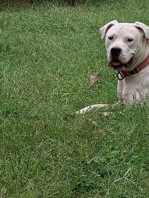 Rock Castle Landscaping