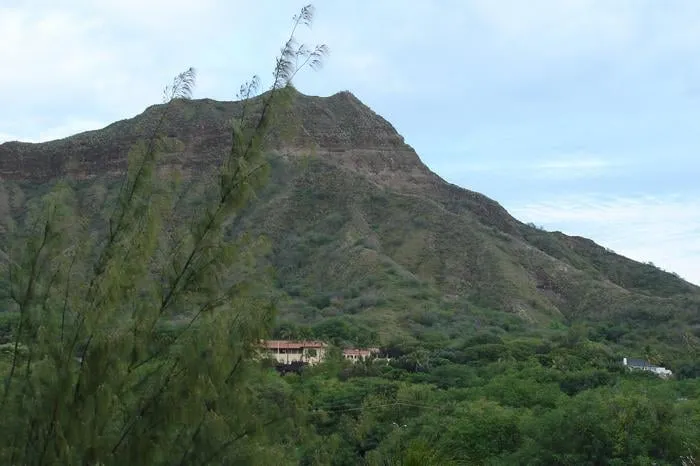 Custom garden landscaping in Sebastian, FL by Rock City Gardens