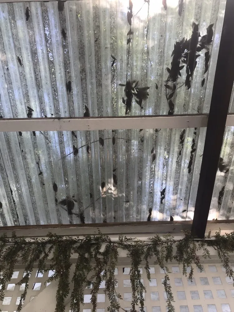 Professional yard maintenance in Sebastian, FL by Rock City Gardens