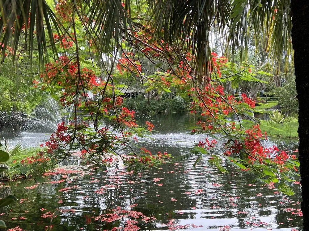 Top-rated yard maintenance in Sebastian, FL by Rock City Gardens