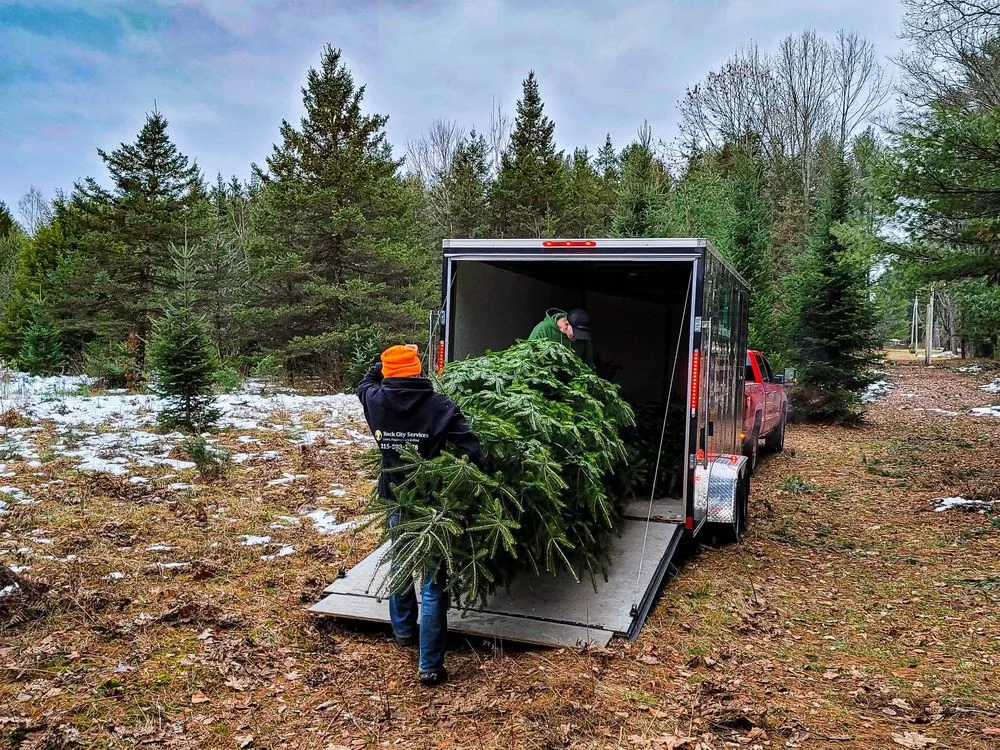 Reliable landscaping services in Little Falls, NY - Rock City Services