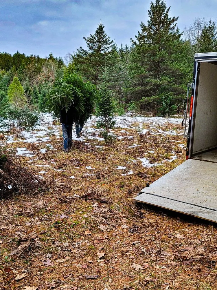 Reliable landscape installation for beautiful yards in Little Falls, NY by Rock City Services