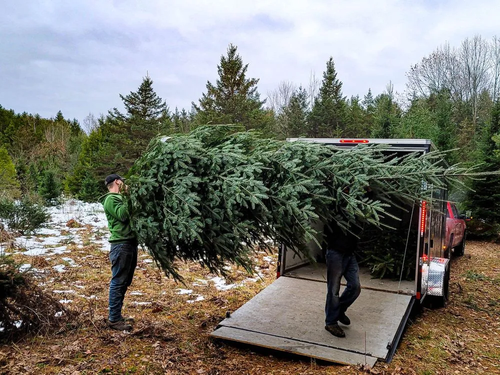 Affordable garden landscaping near you in Little Falls, NY by Rock City Services