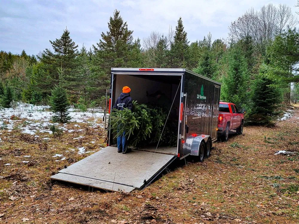 Professional landscape design in Little Falls, NY - Rock City Services