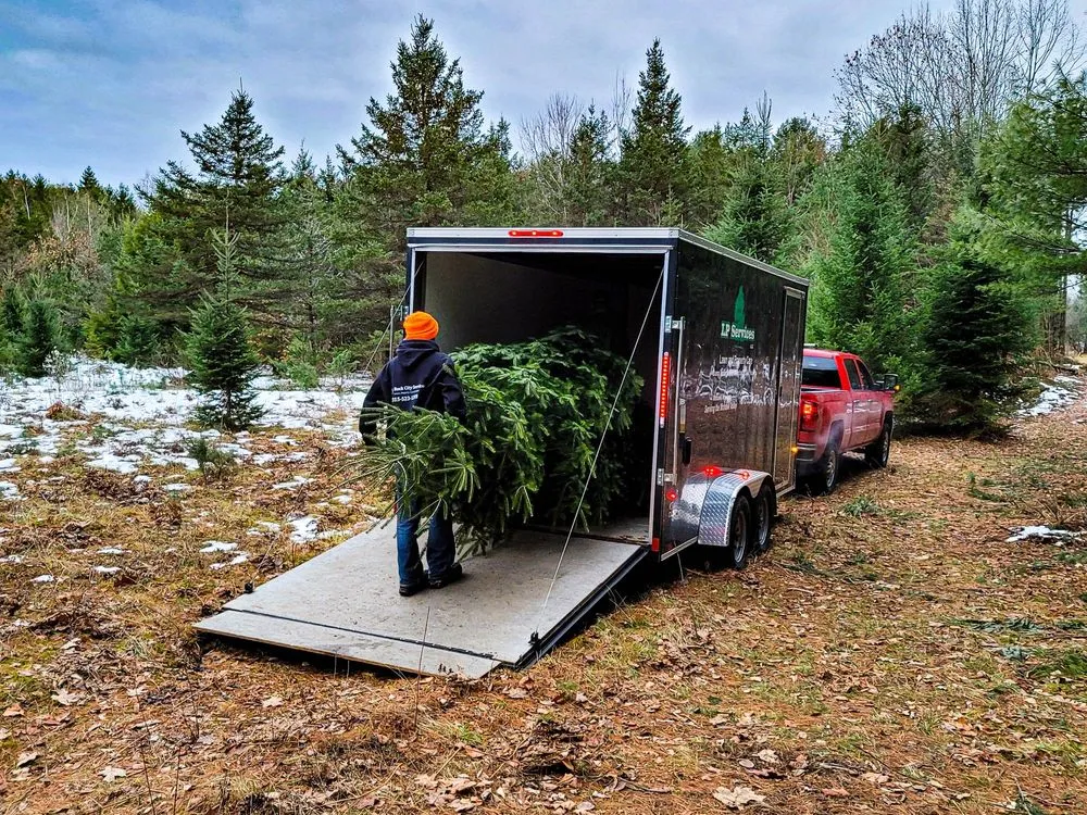 Affordable landscape installation for residential properties in Little Falls, NY by Rock City Services