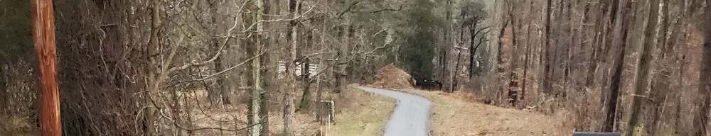 Expert yard cleanup service for residential properties in Burlington, NC by Rock Creek Supply