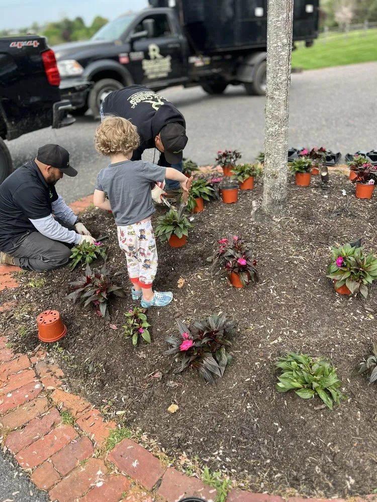 Local yard cleanup service for outdoor upgrades across Rockville, MD - Rock Creek Tree, Turf & Landscape