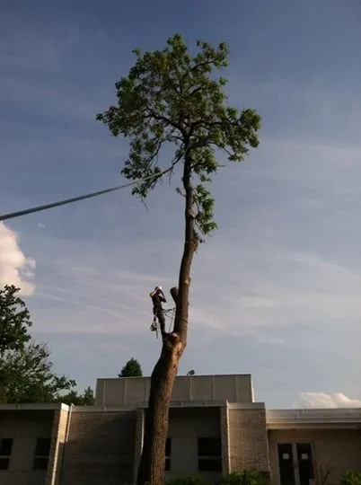 Custom landscape installation in Rockville, MD by Rock Creek Tree, Turf & Landscape