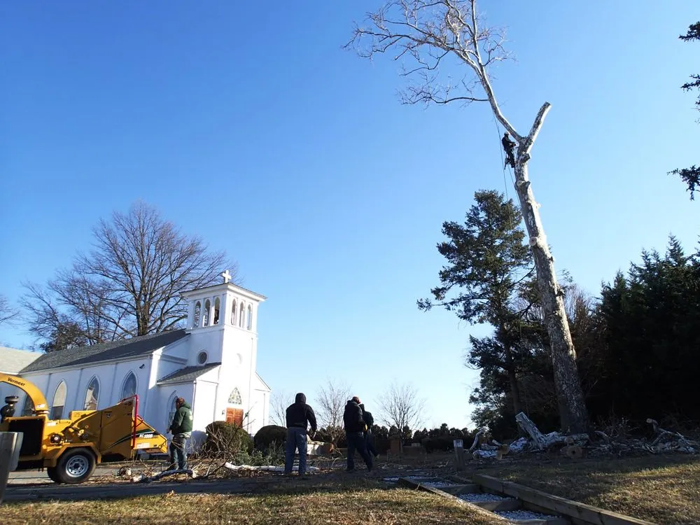 Affordable outdoor landscaping experts serving Rockville, MD - Rock Creek Tree, Turf & Landscape