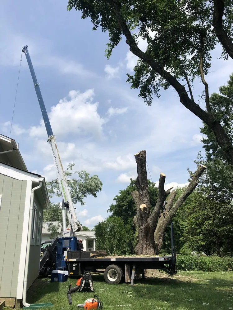 Trusted landscaping services with custom design in Rockville, MD by Rock Creek Tree, Turf & Landscape