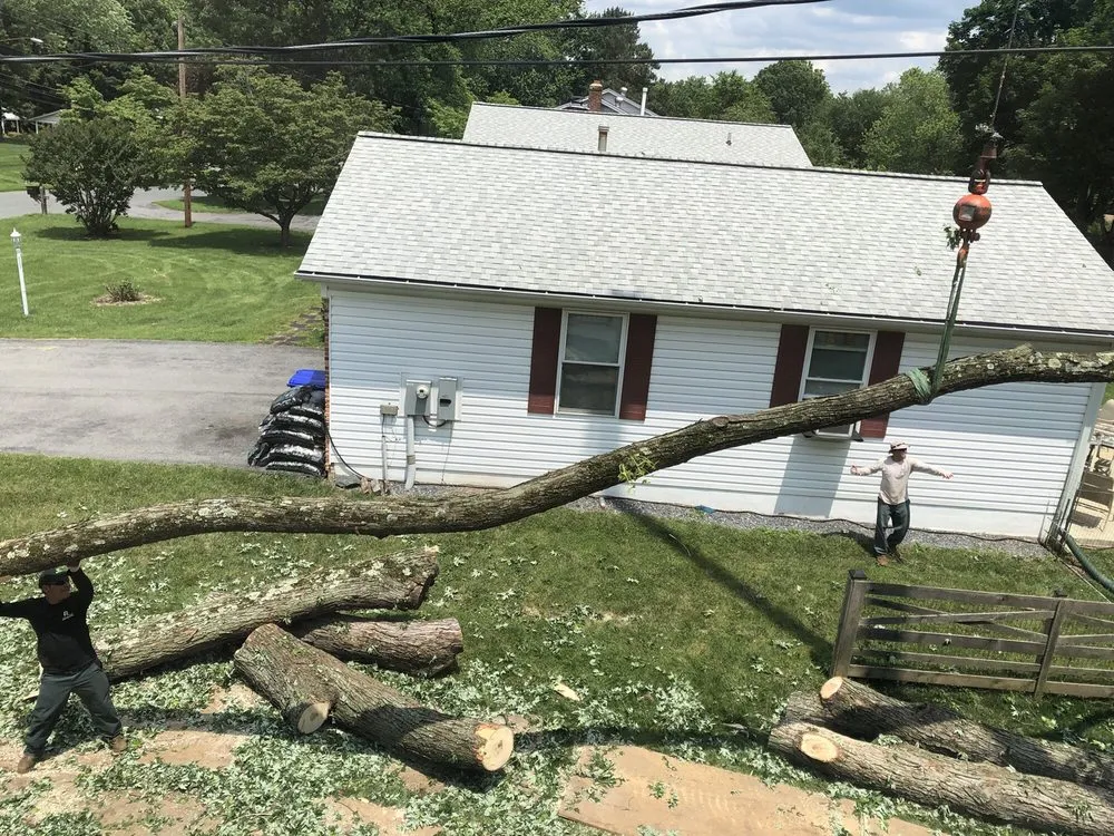 Trusted lawn mowing service experts serving Rockville, MD - Rock Creek Tree, Turf & Landscape