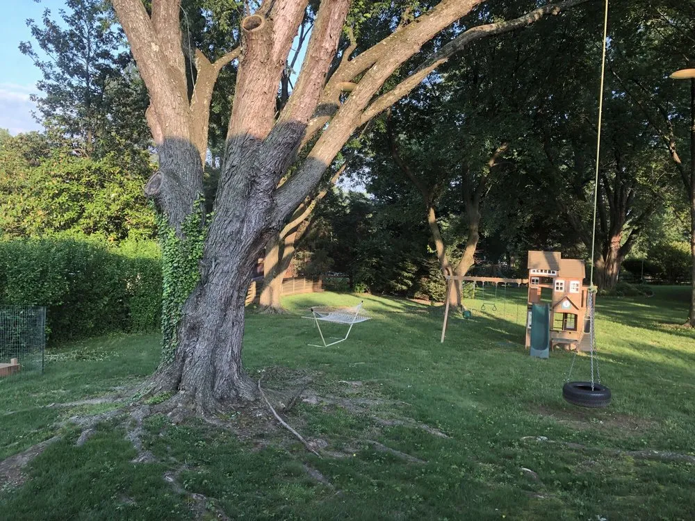 Professional yard maintenance experts serving Rockville, MD - Rock Creek Tree, Turf & Landscape