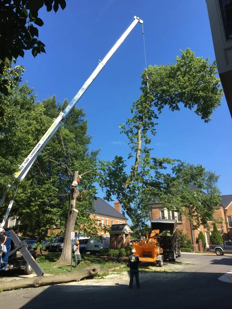 Professional garden landscaping experts serving Rockville, MD - Rock Creek Tree, Turf & Landscape