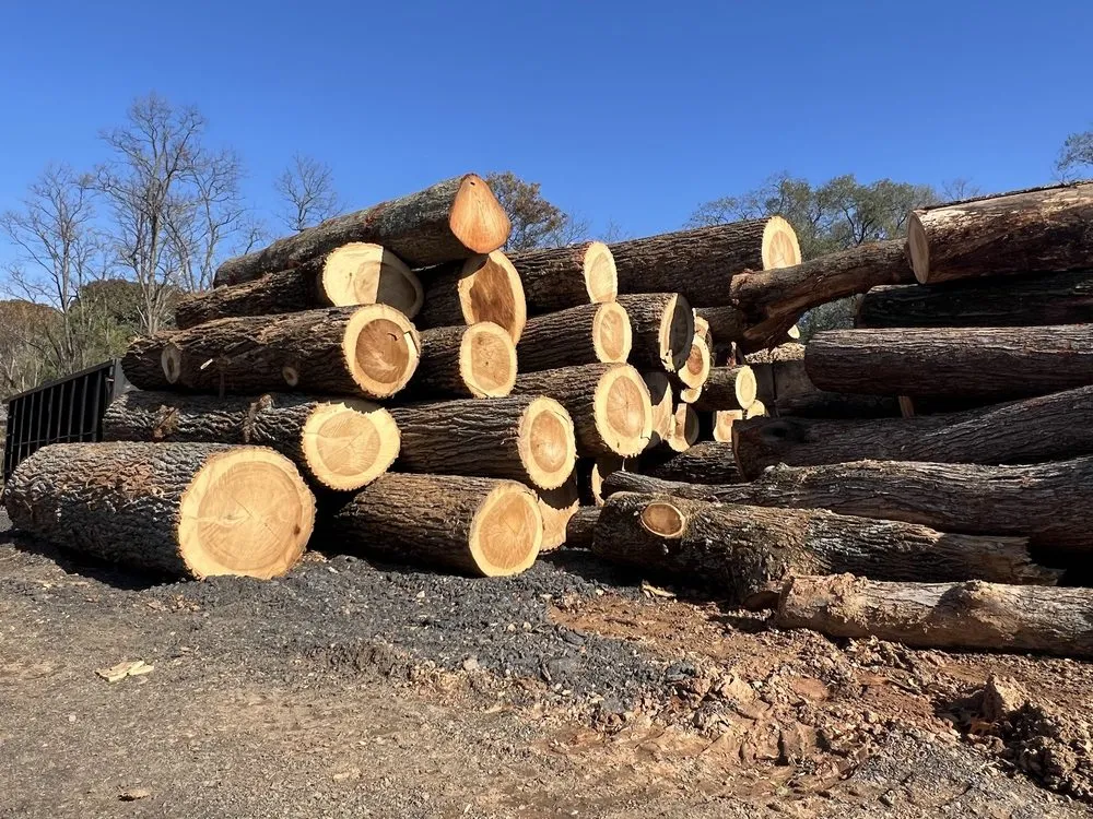 Top-rated outdoor landscaping experts serving Rockville, MD - Rock Creek Tree, Turf & Landscape