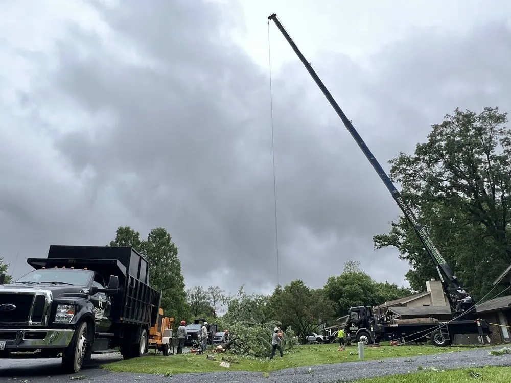 Reliable landscape design in Rockville, MD by Rock Creek Tree, Turf & Landscape