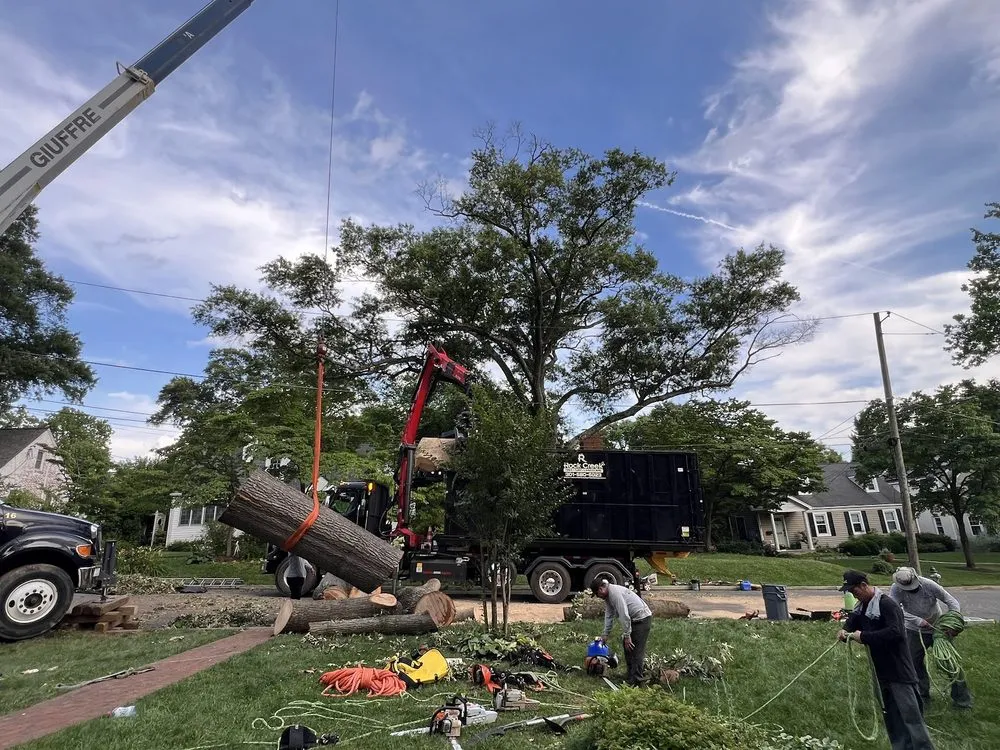 Expert yard cleanup service for beautiful yards in Rockville, MD by Rock Creek Tree, Turf & Landscape
