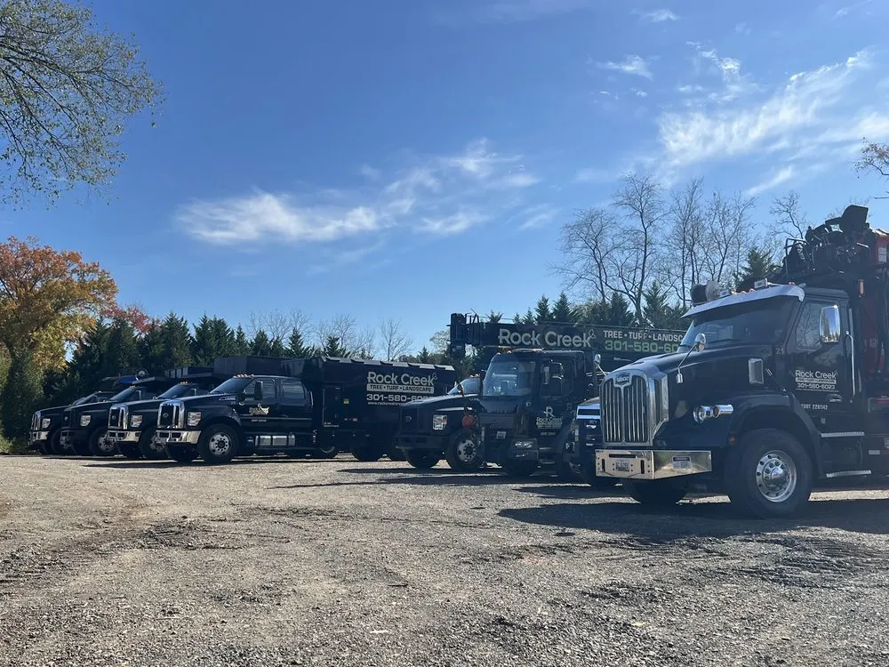 Local residential landscaping with custom design across Rockville, MD - Rock Creek Tree, Turf & Landscape