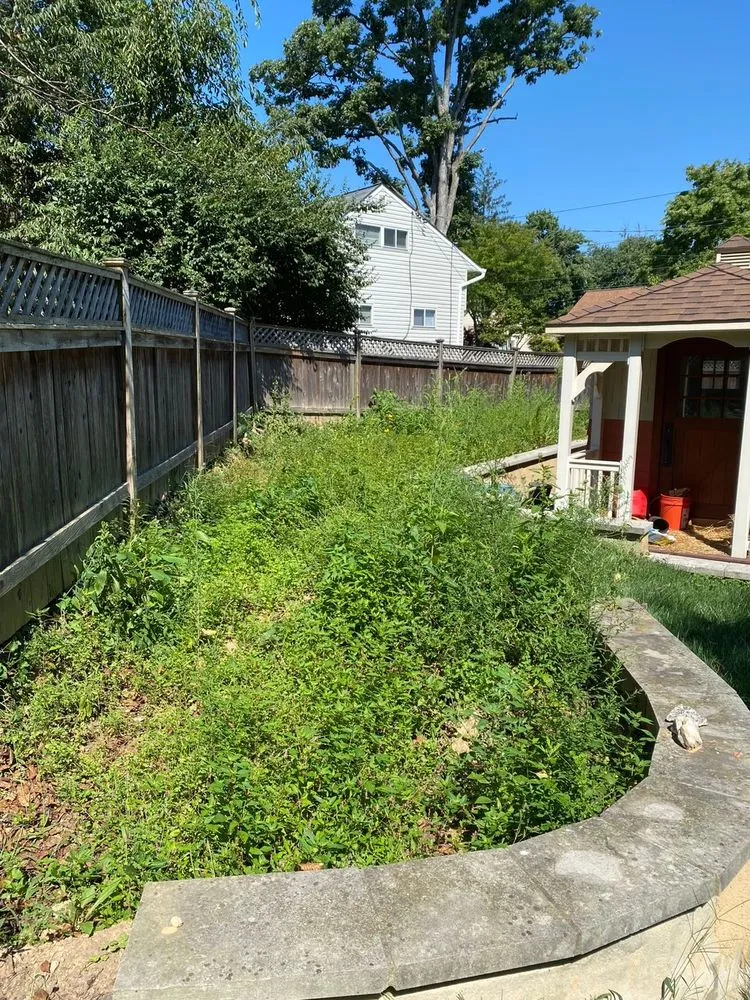 Top-rated residential landscaping for residential properties in Rockville, MD by Rock Creek Tree, Turf & Landscape