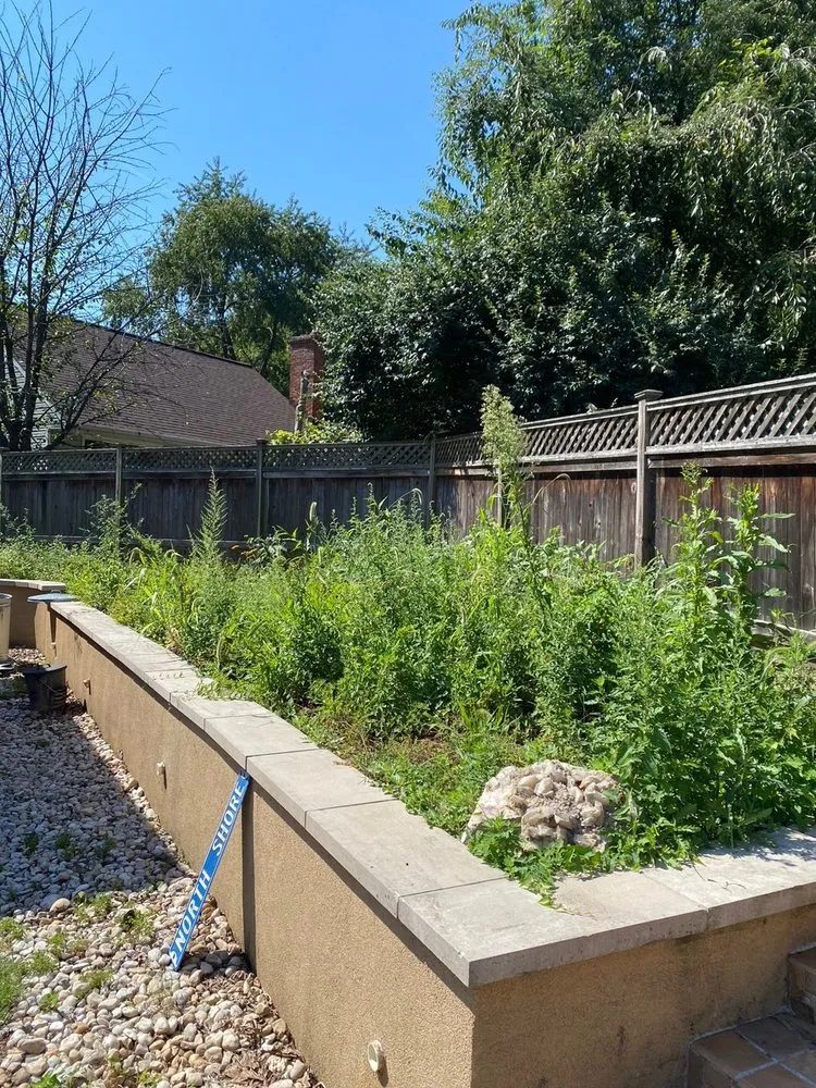 Affordable landscape design for outdoor upgrades in Rockville, MD by Rock Creek Tree, Turf & Landscape