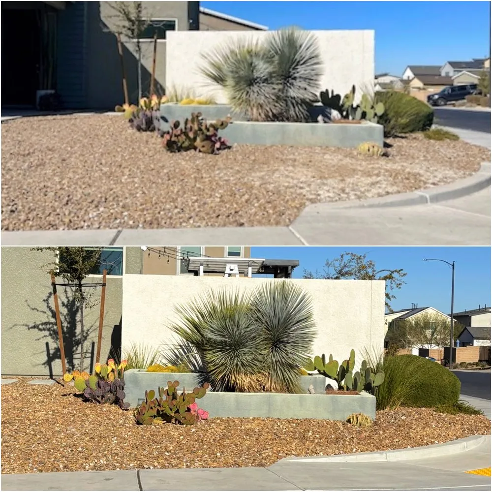 Custom landscaping services in Las Vegas, NV by Rock Daddy Las Vegas
