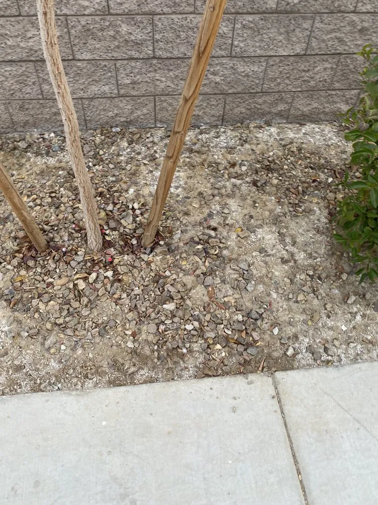 Local landscape design for outdoor upgrades across Las Vegas, NV - Rock Daddy Las Vegas