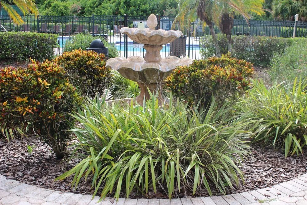 Affordable landscape installation in Spring Hill, FL by ROCK-IT SCIENCE SOLUTIONS