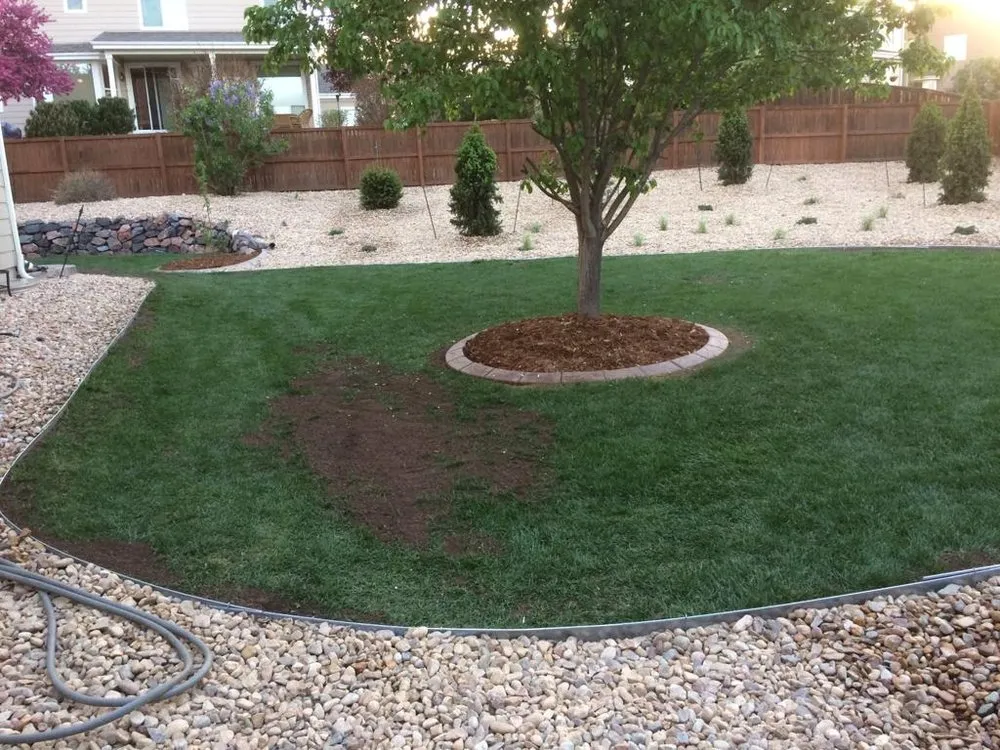 Expert outdoor landscaping in Castle Rock, CO - Rock Landscaping
